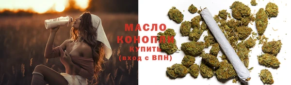 гидра Переславль-Залесский