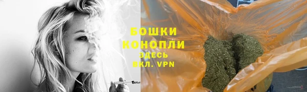 гидра Переславль-Залесский