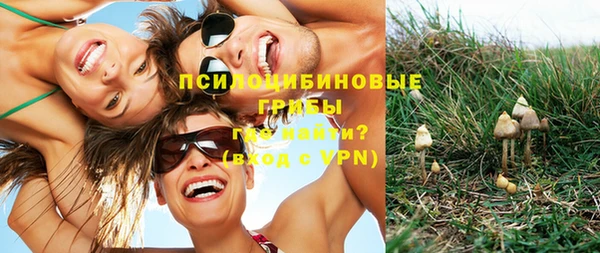 кокс Покачи