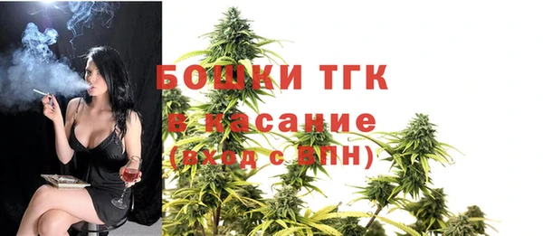 гидра Переславль-Залесский