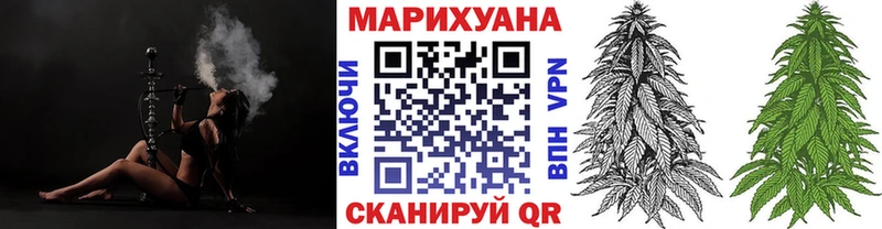 маркетплейс телеграм  где найти   Стародуб  Бошки Шишки MAZAR 